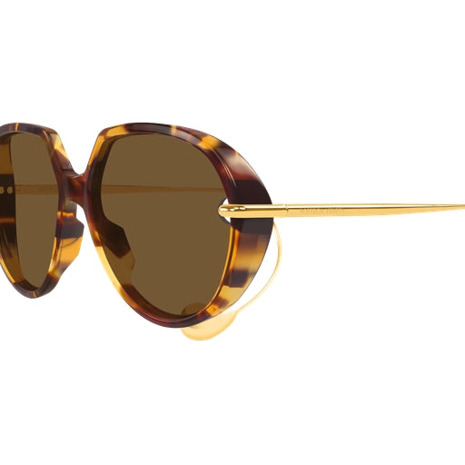 002 - Havana/Gold - Brown