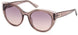 Guess 7909 Sunglasses