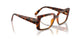 W656 - Brown