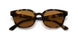 647551 - Yellow Light Havana - Clear Gradient Brown