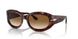 24/51 - Tortoise - Clear Gradient Brown