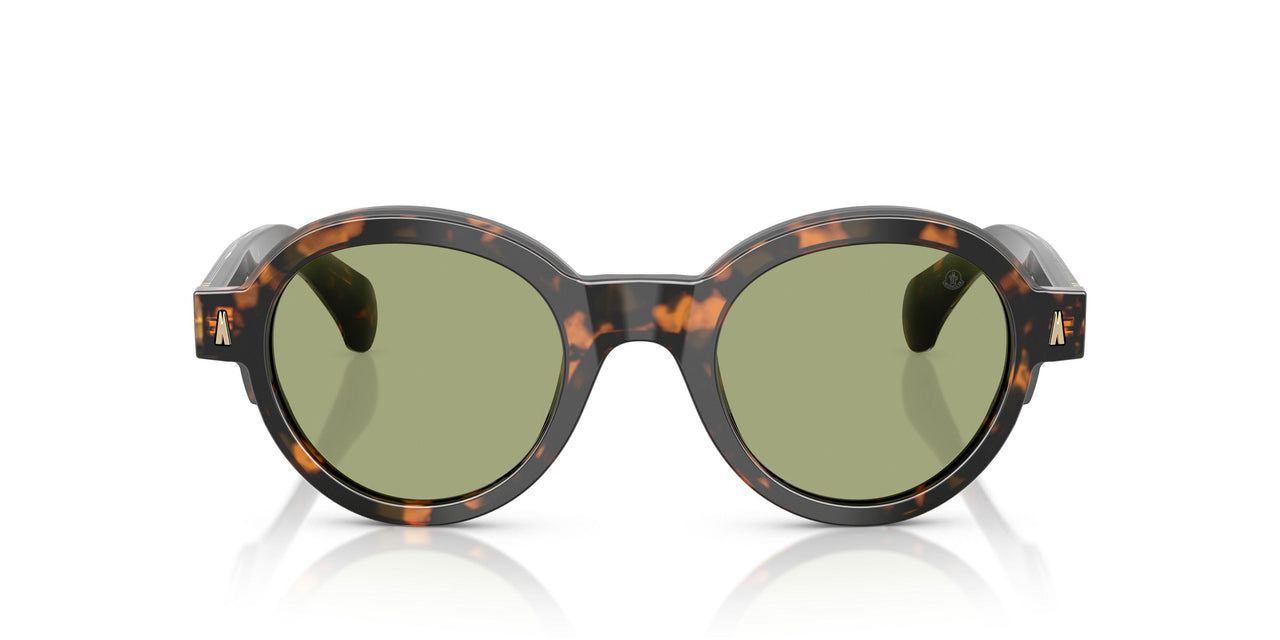 300682 - Tortoise - Green