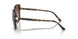 300613 - Tortoise - Brown Gradient