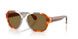 004/73 - Multicolor - Brown