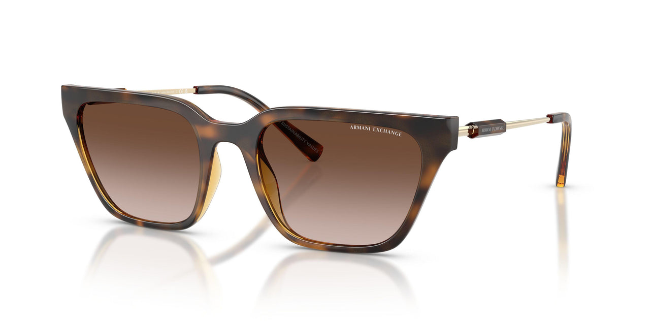 821313 - Tortoise - Gradient Brown
