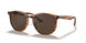 820/73 - Red - Dark Brown