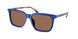 Polo 4224U Sunglasses