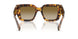 14L20U - Tortoise - Brown Gradient