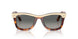 144371 - Brown - Gradient Grey