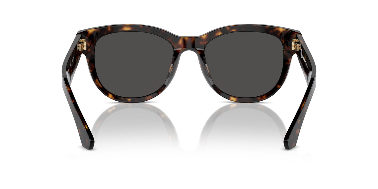 300287 - Brown - Dark Grey