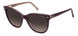 Carrera 3043 Sunglasses