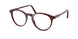 Polo 2083 Eyeglasses