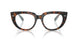 8401 - Tortoise - Clear