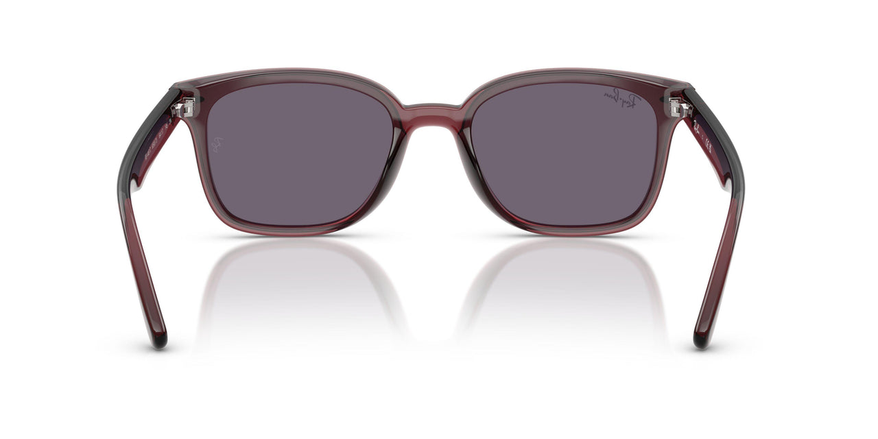 659373 - Brown - Violet
