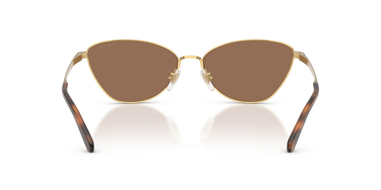 900473 - Gold - Brown