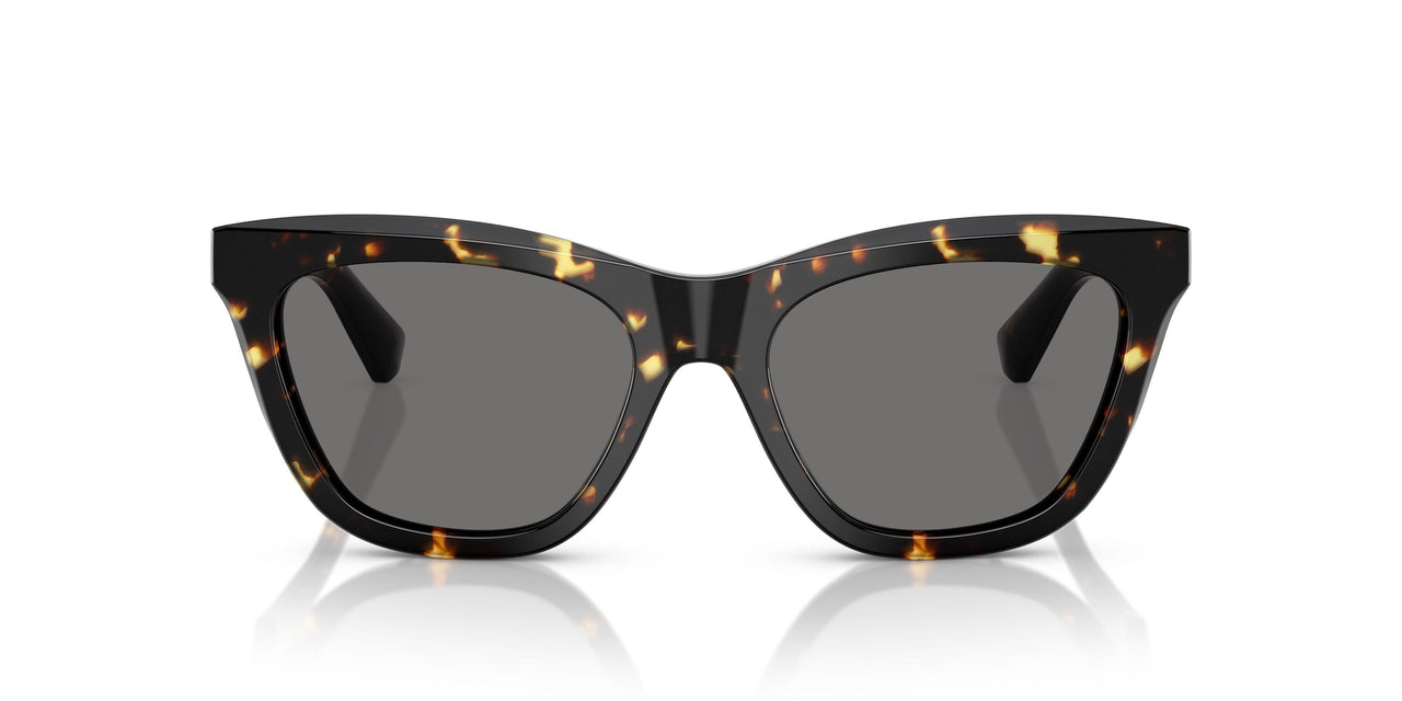 410681 - Tortoise - Dark Grey Polar