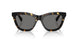 410681 - Tortoise - Dark Grey Polar