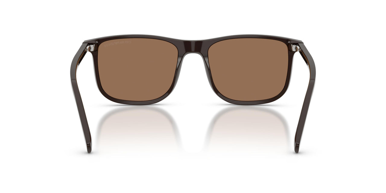 645273 - Brown - Dark Brown