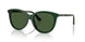 416271 - Green - Dark Green