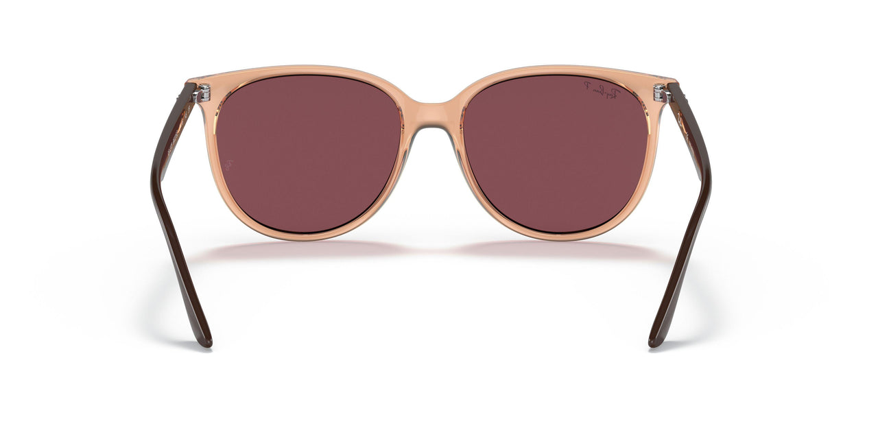 66025Q - Brown - Purple Polar