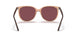 66025Q - Brown - Purple Polar
