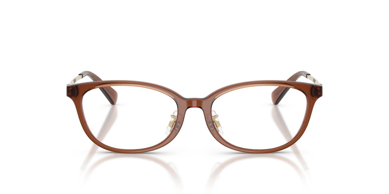 5888 - Brown