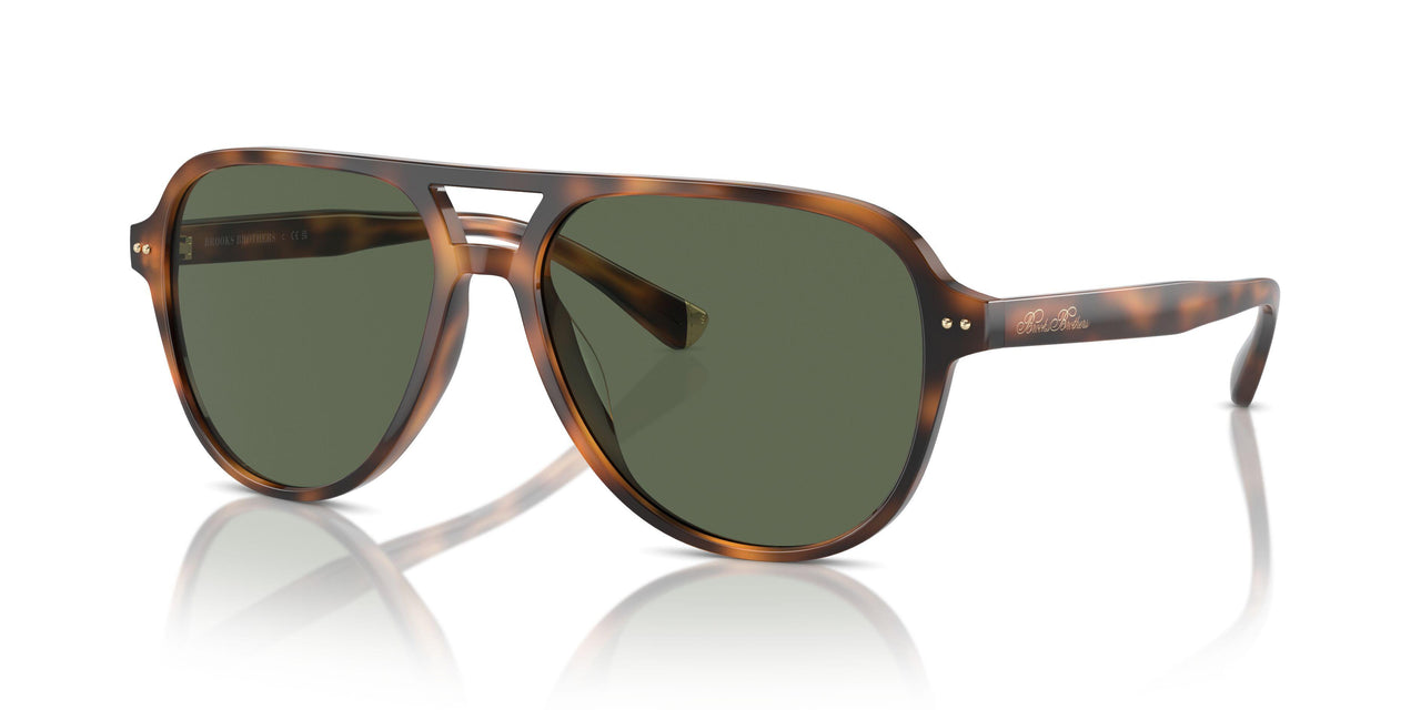 616171 - Tortoise - Solid Green