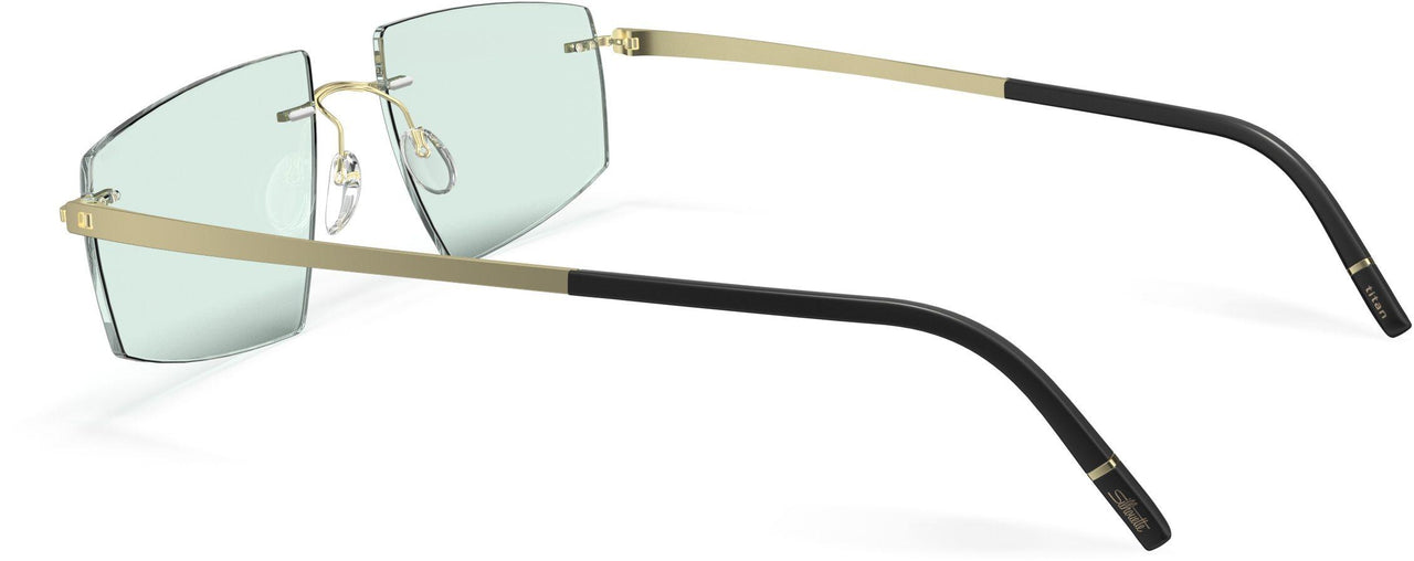 8540 - Champagne / Black - soft mint