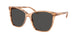 Ralph Lauren 8201 Sunglasses