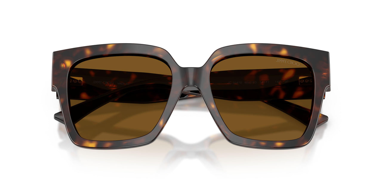 500283 - Tortoise - Polarized Brown