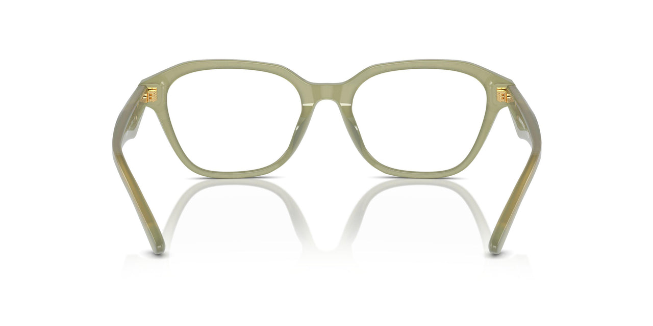 6116 - Green