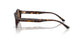 500273 - Tortoise - Dark Brown