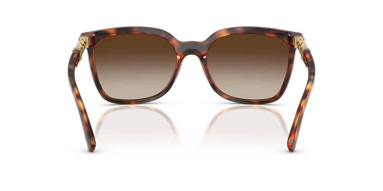 W65613 - Brown - Gradient Brown
