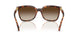 W65613 - Brown - Gradient Brown