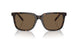 587973 - Tortoise - Dark Brown