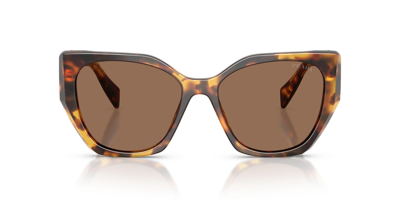 14L06B - Tortoise - Dark Brown