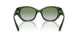 584017 - Green - Moss Aqua Gradient