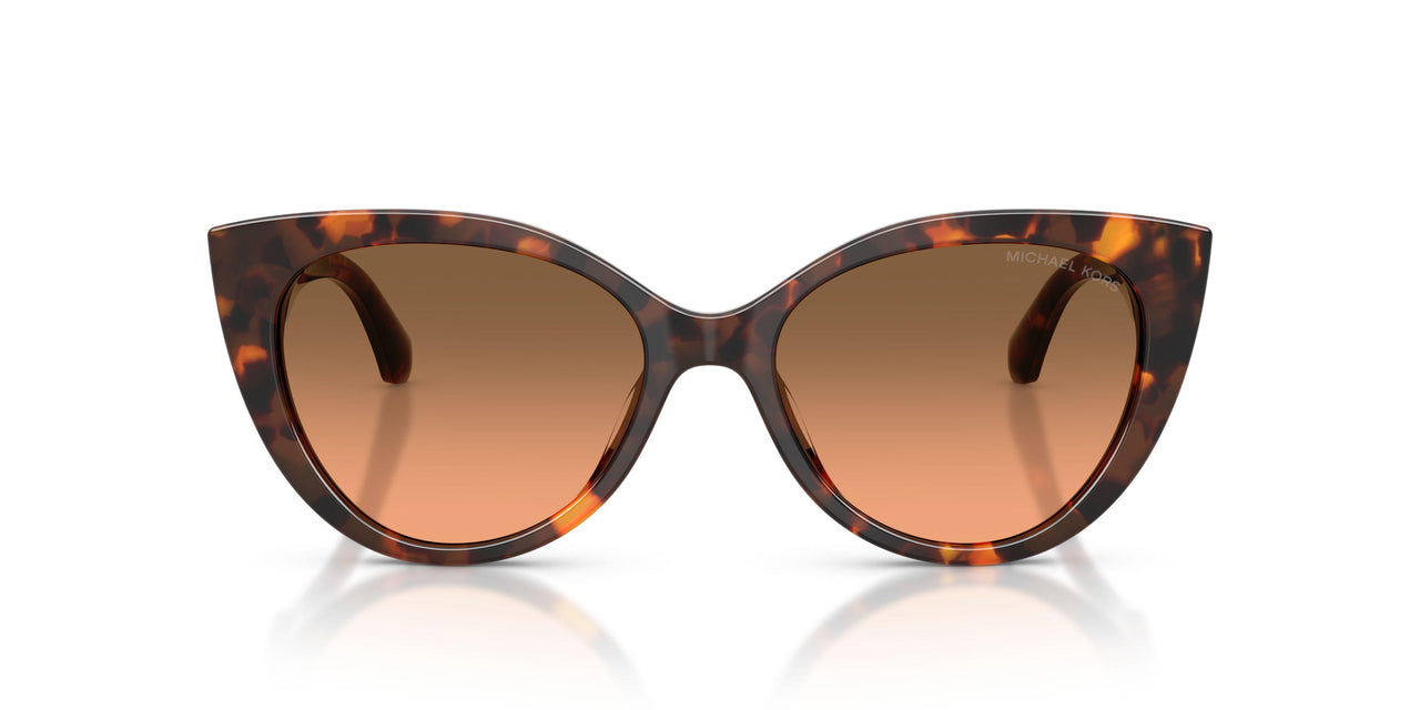 403118 - Tortoise - Grey Orange Gradient