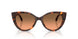403118 - Tortoise - Grey Orange Gradient