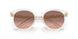 301513 - Transparent - Pink Gradient Dark Brown