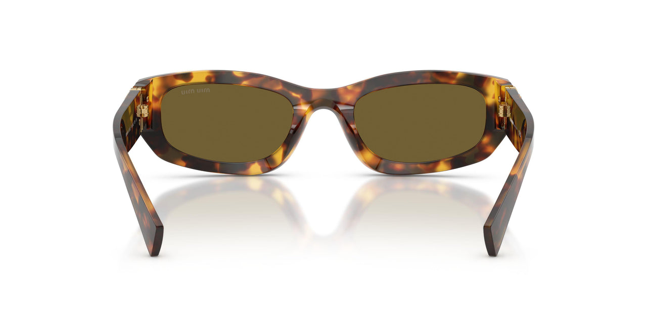 14L09Z - Tortoise - Dark Brown