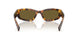 14L09Z - Tortoise - Dark Brown