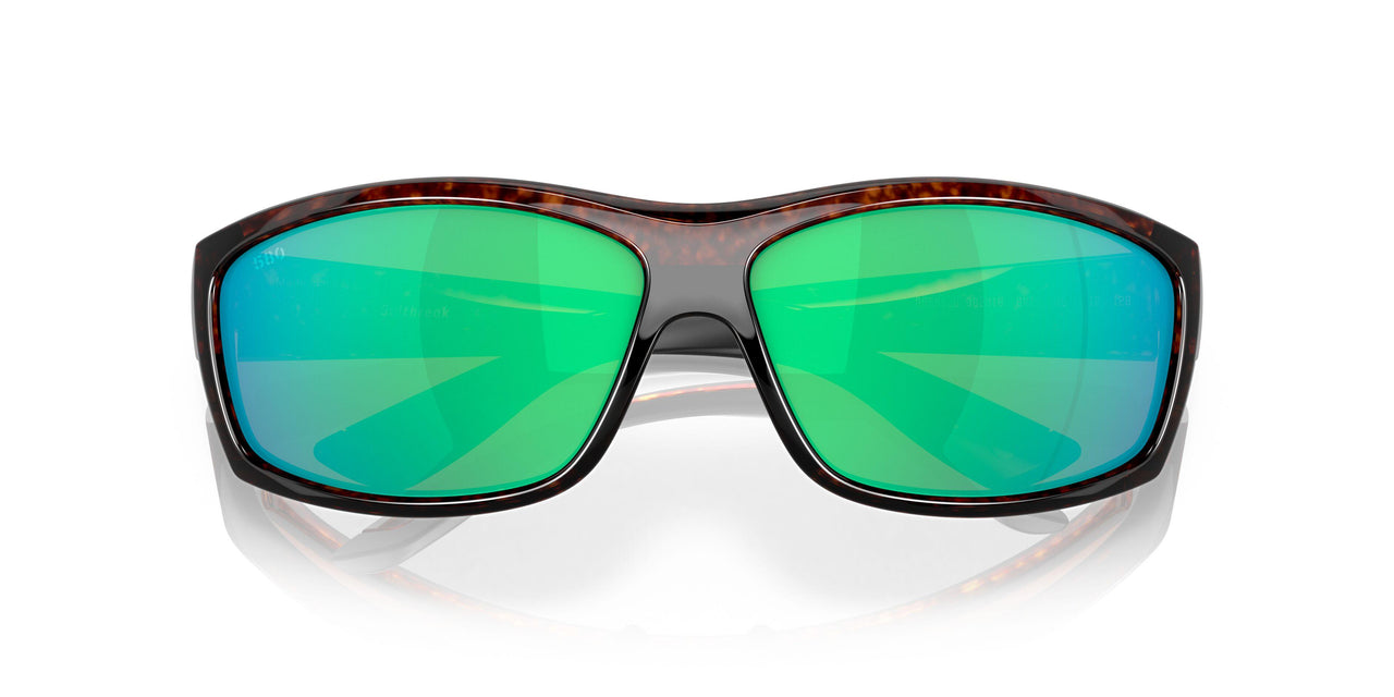 902018 - 10 Tortoise - Green Mir 580g