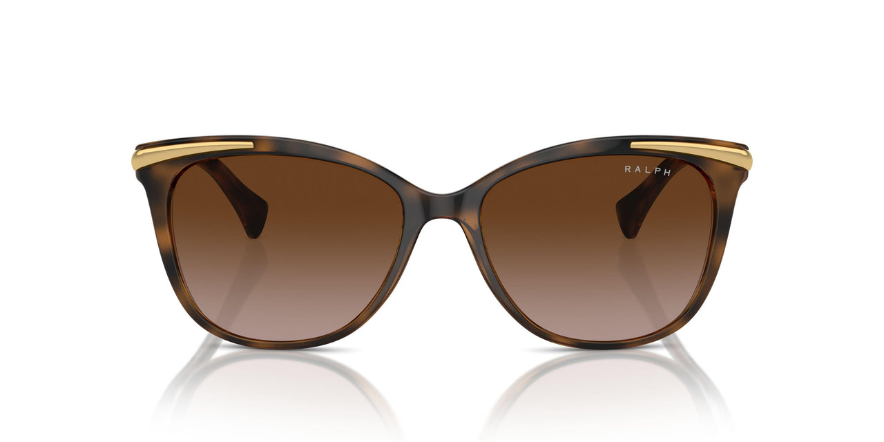 614913 - Brown - Gradient Brown