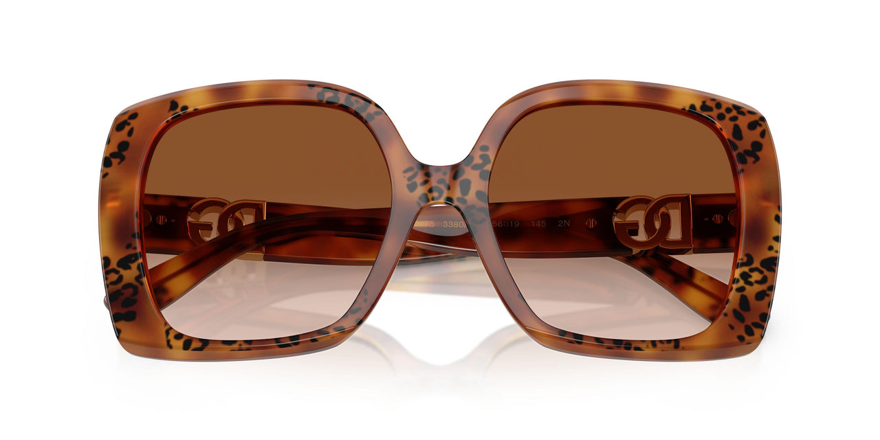 338013 - Tortoise - Brown Gradient