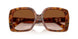338013 - Tortoise - Brown Gradient