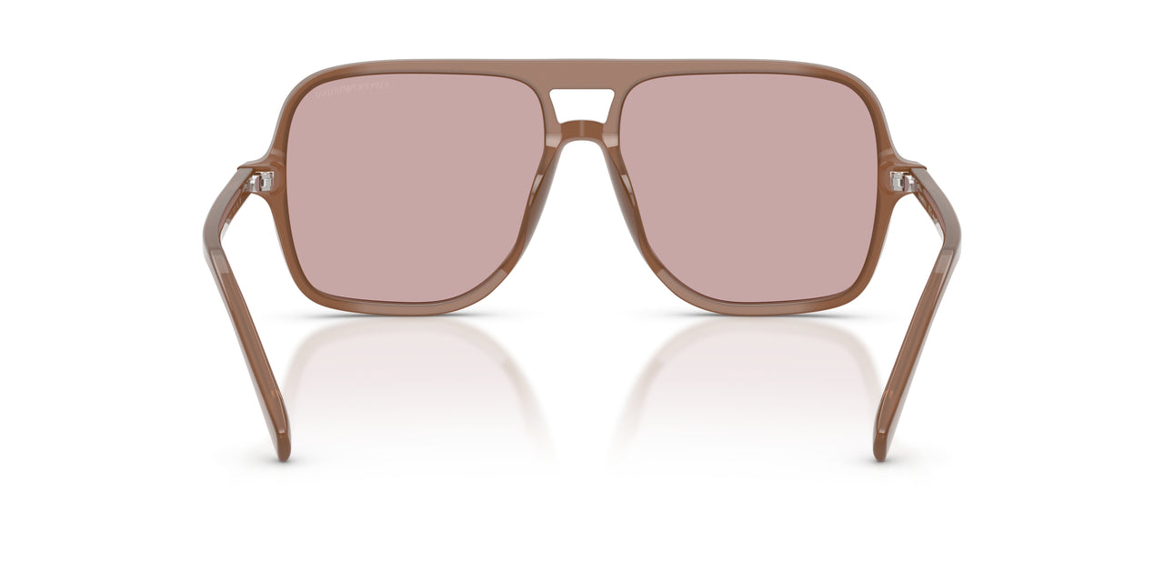 627173 - Brown - Pink