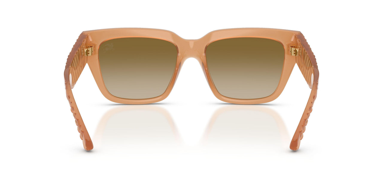 426613 - Beige - Brown Gradient