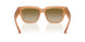 426613 - Beige - Brown Gradient