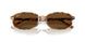 135757 - Brown - Brown Polarized